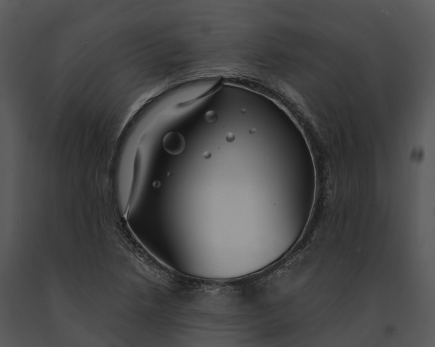X0000091201218200708301554