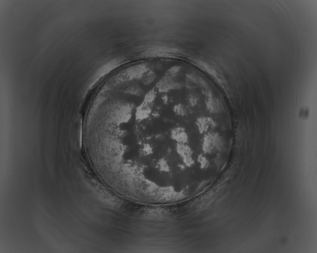 X0000091201219200708301554