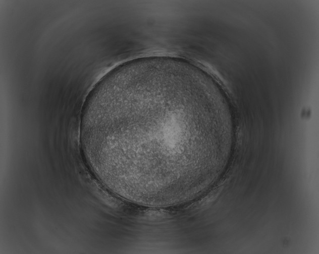 X0000091201220200708301554