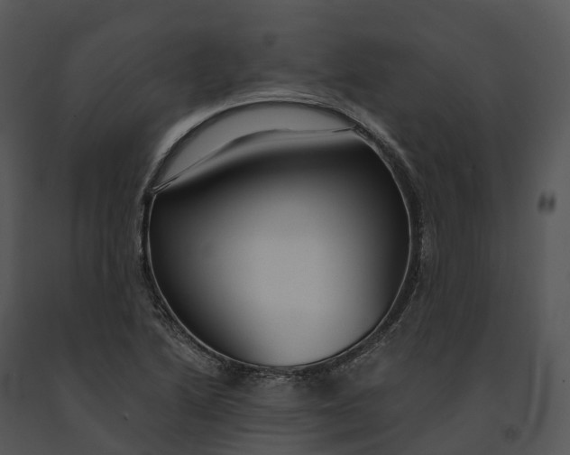 X0000091201222200708301554
