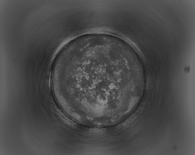 X0000091201224200708301554