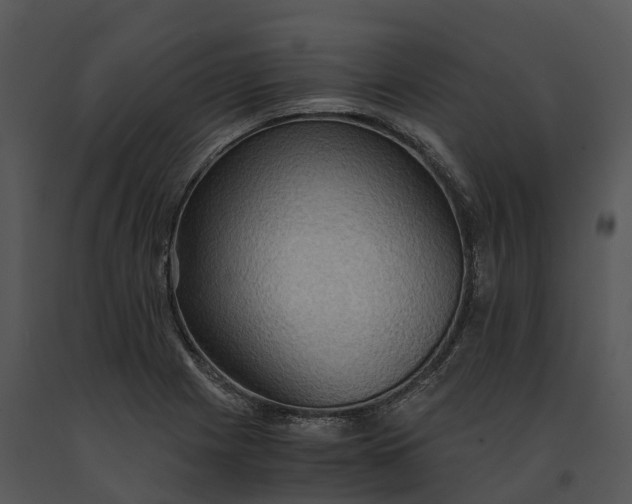 X0000091201225200708301554