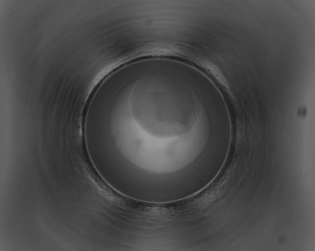 X0000091201226200708301554