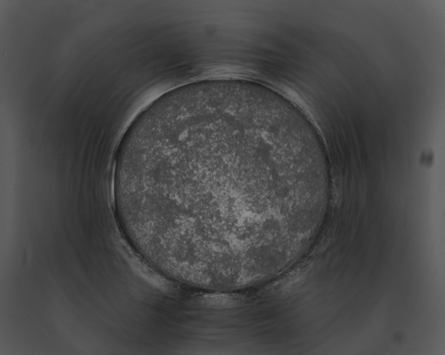 X0000091201227200708301554