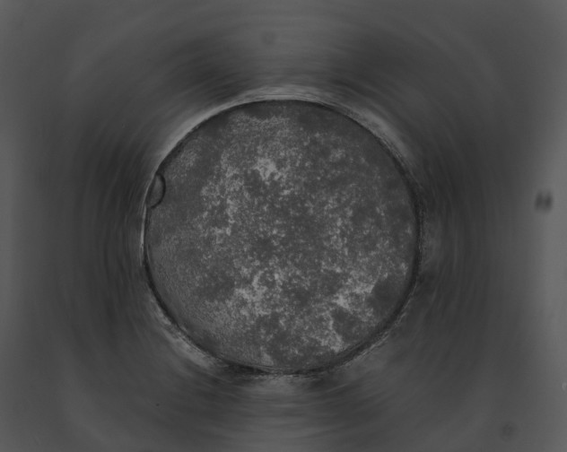X0000091201228200708301554