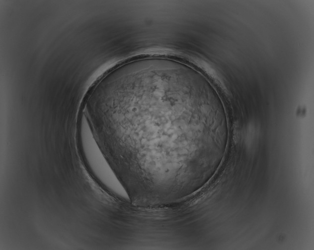X0000091201229200708301554