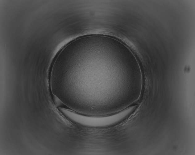 X0000091201230200708301554