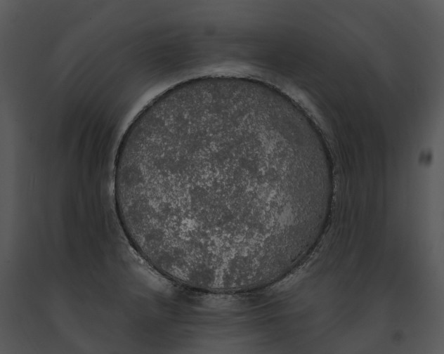 X0000091201232200708301554