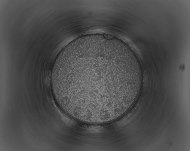 X0000091201233200708301554
