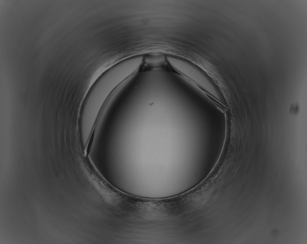 X0000091201234200708301554