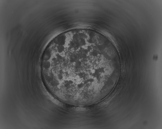 X0000091201235200708301554