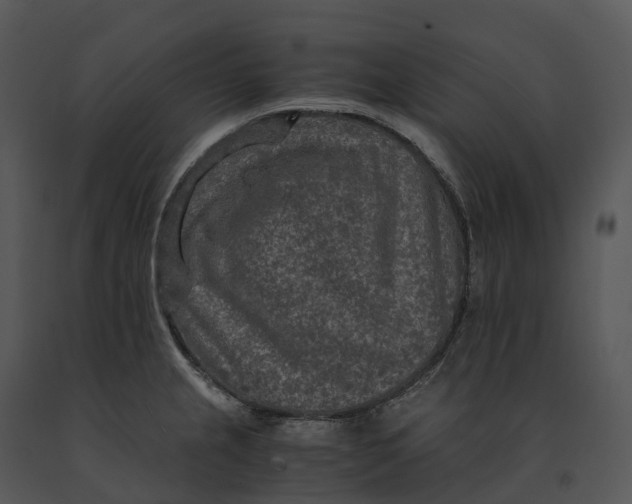 X0000091201237200708301554