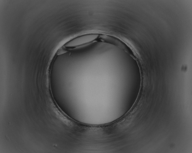 X0000091201238200708301554