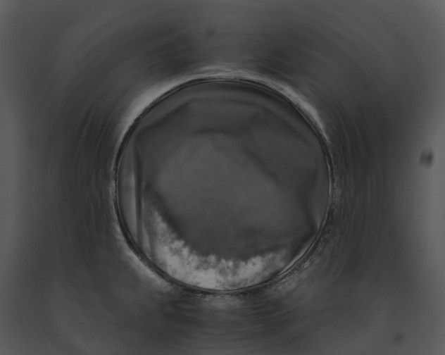 X0000091201239200708301554