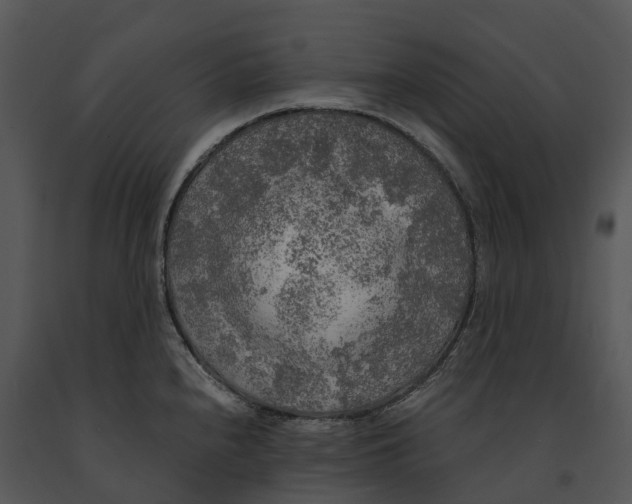 X0000091201240200708301554
