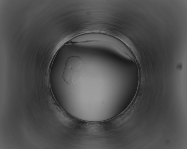 X0000091201242200708301554