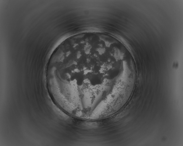 X0000091201243200708301554
