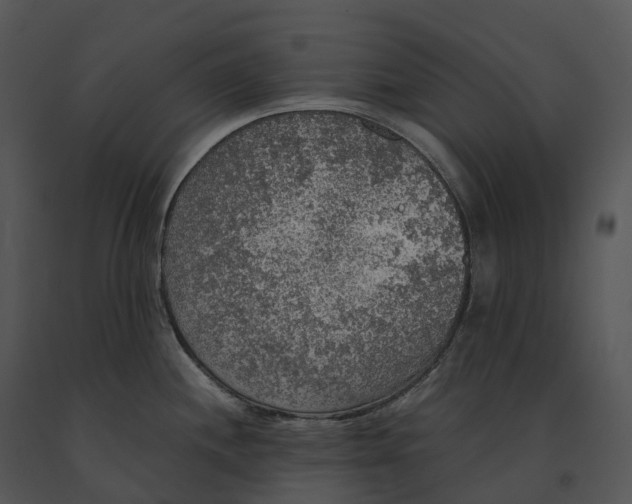 X0000091201244200708301554
