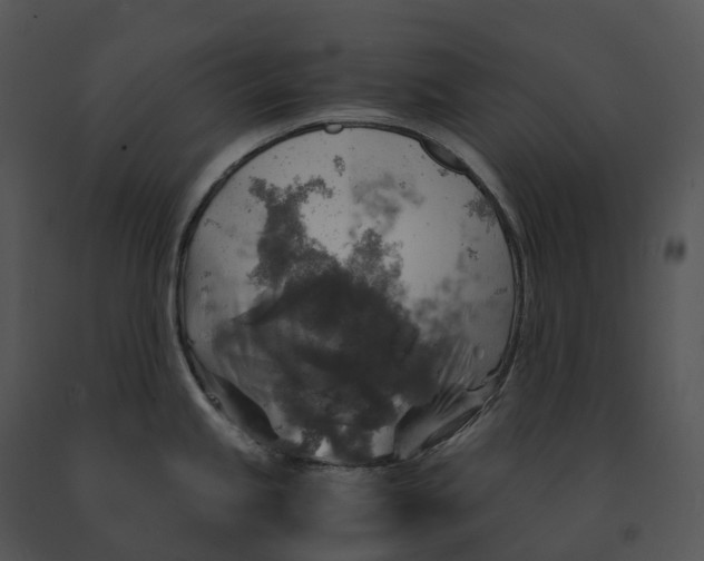X0000091201245200708301554