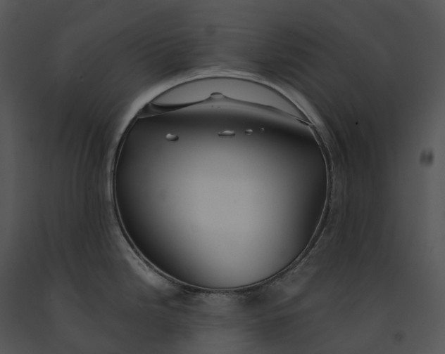 X0000091201246200708301554