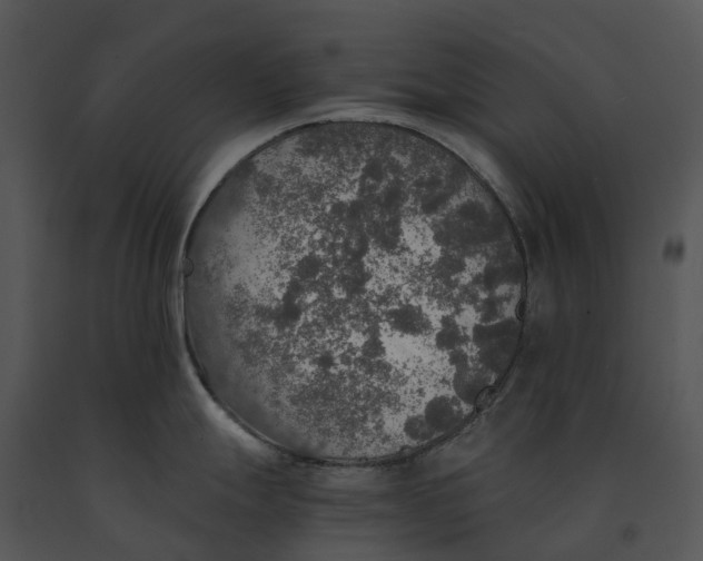 X0000091201247200708301554