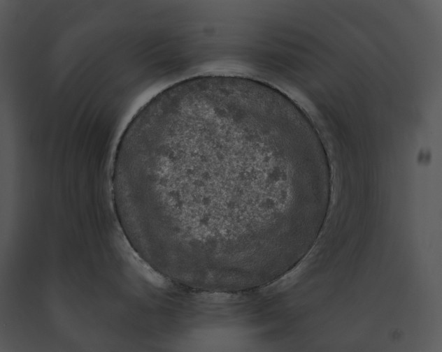 X0000091201248200708301554