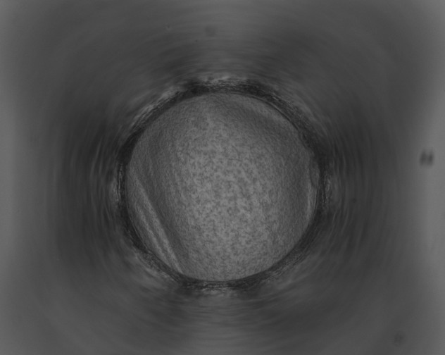 X0000091201250200708301553
