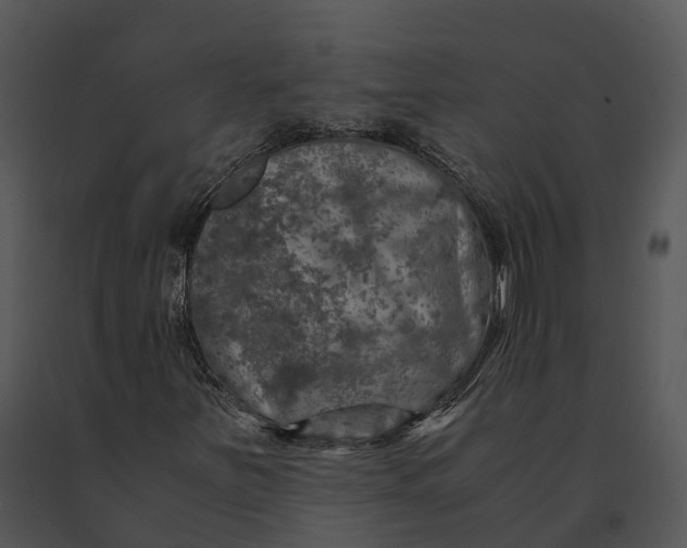 X0000091201251200708301553