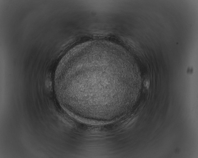 X0000091201252200708301553