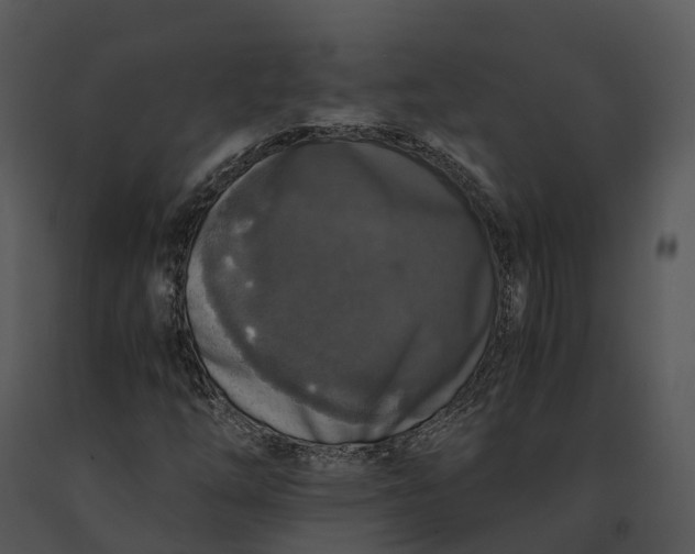 X0000091201254200708301553