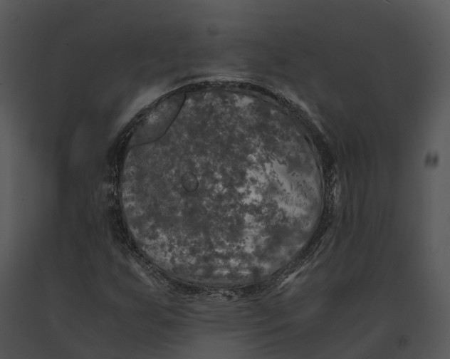 X0000091201255200708301553