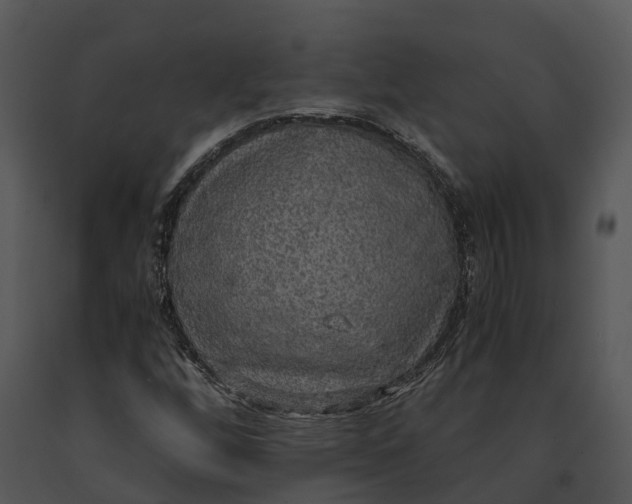 X0000091201256200708301553