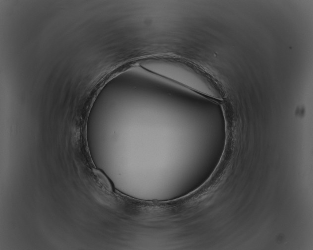 X0000091201257200708301553
