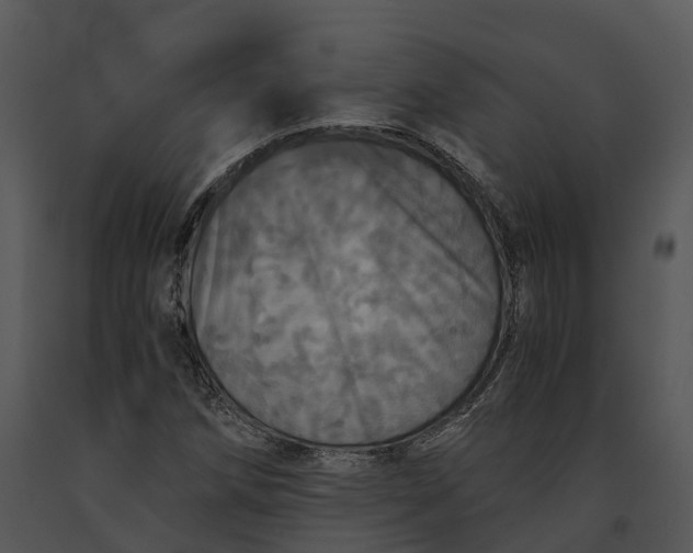 X0000091201258200708301553