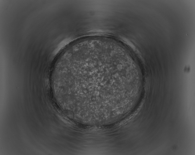 X0000091201259200708301553