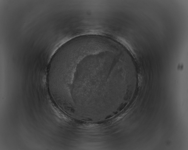 X0000091201260200708301553