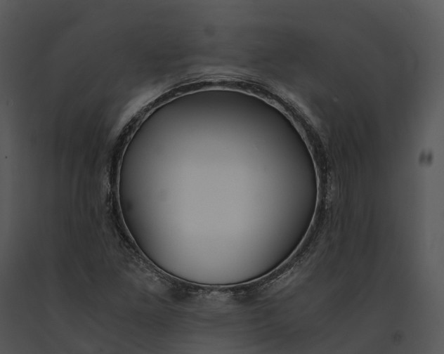X0000091201261200708301553