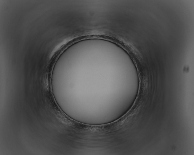 X0000091201262200708301553