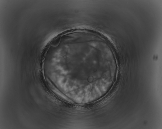 X0000091201263200708301553