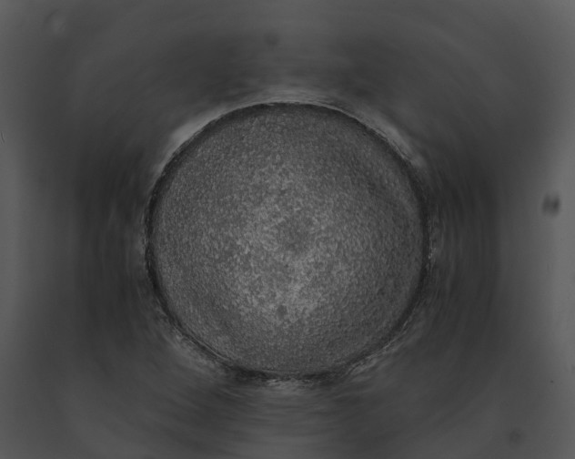X0000091201264200708301553