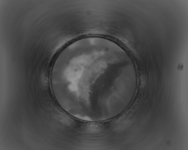 X0000091201266200708301553