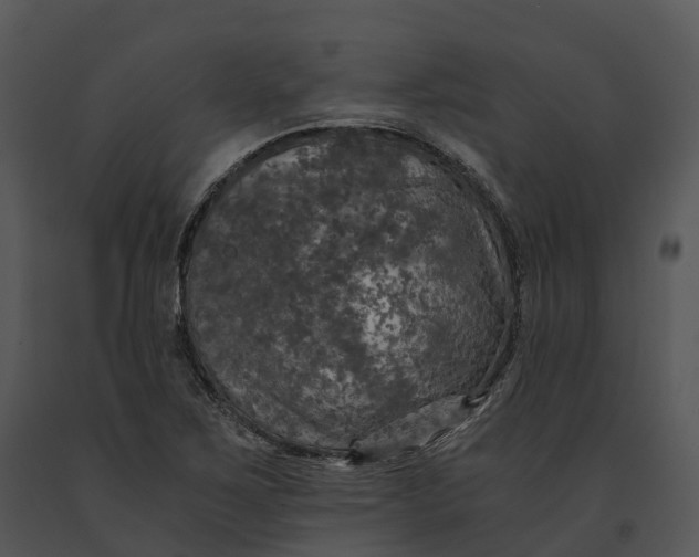 X0000091201267200708301553