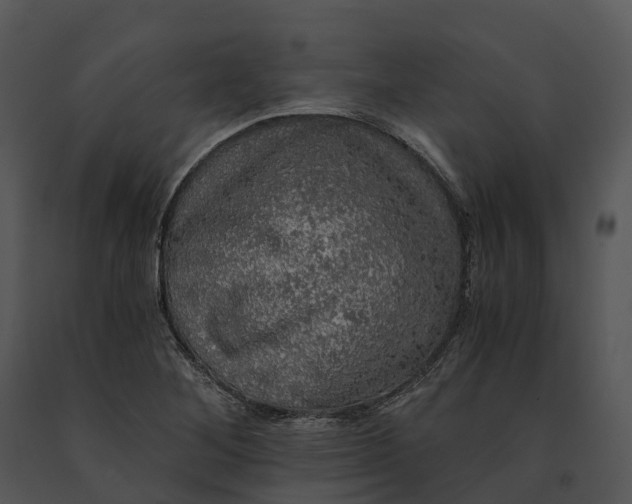 X0000091201268200708301553