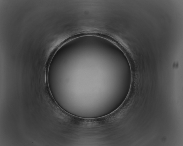 X0000091201269200708301553
