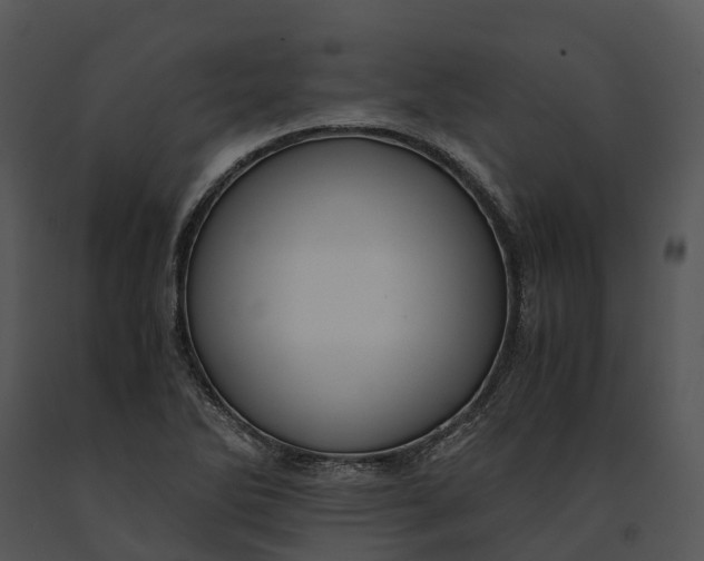 X0000091201270200708301553