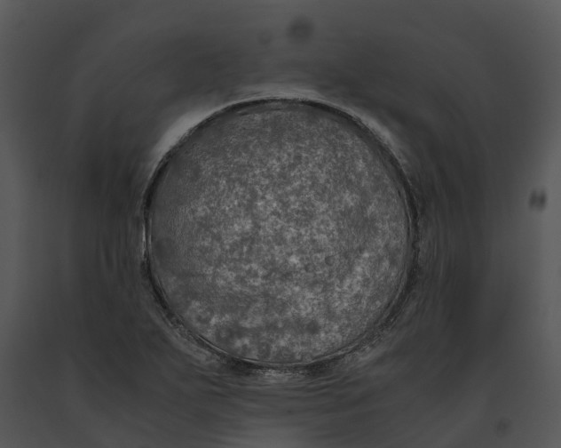 X0000091201271200708301553