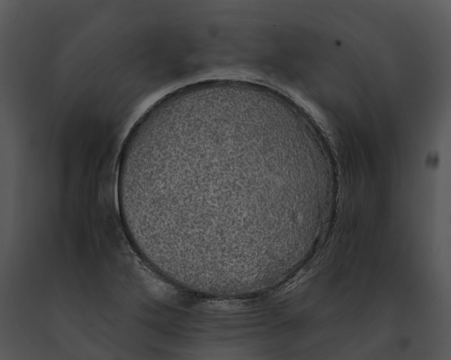 X0000091201272200708301553
