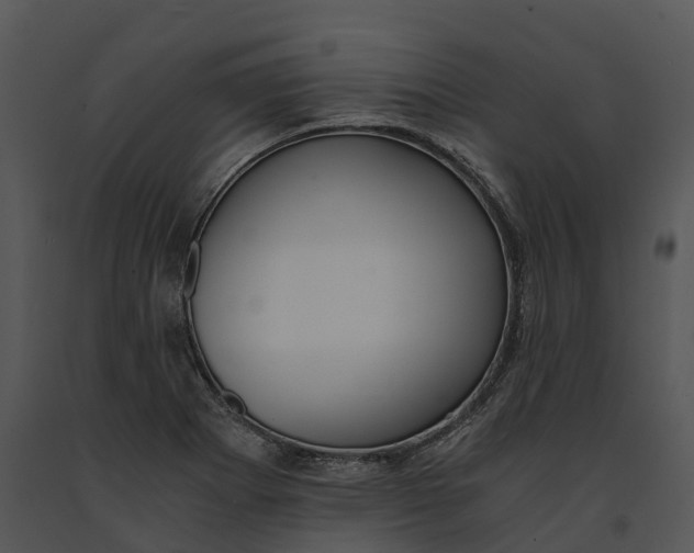 X0000091201273200708301553