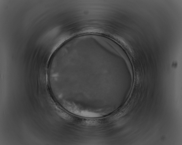 X0000091201274200708301553