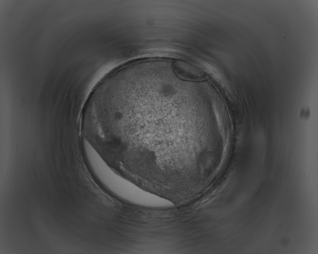 X0000091201275200708301553